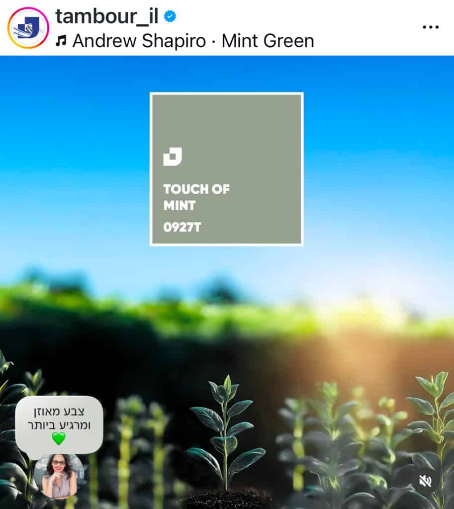 פוסט השראה לצבע ירוק מנטה בעיצוב פנים